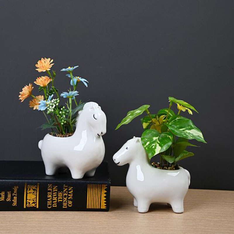 Bonsai Garden Art - Maceta de Porcelana Blanca Creativa con