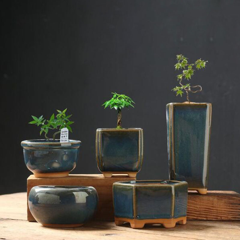 Maceta de Cerámica Esmaltada c - Bonsai Garden Art reseña y precio