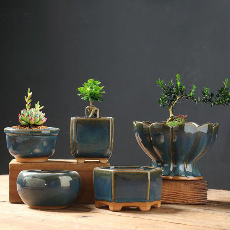 Maceta de Cerámica Esmaltada c - Bonsai Garden Art reseña y precio